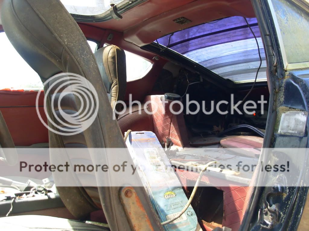 DSCN2041.jpg?t=1239624018