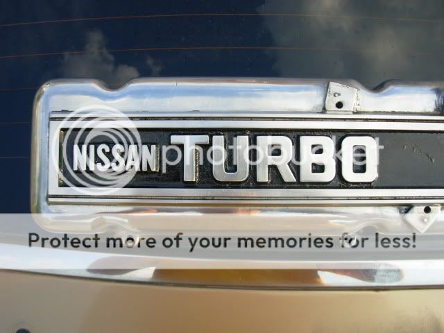 DSCN2162.jpg?t=1243898090