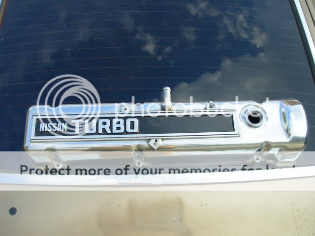 DSCN2163.jpg?t=1243898105