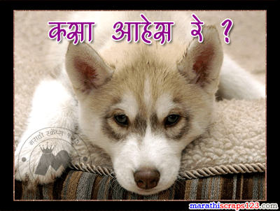 How Are You Marathi Scraps For Orkut
