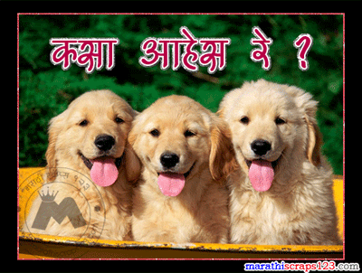 How Are You Marathi Scraps For Orkut