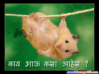 How Are You Greeting Cards - Marathi Scraps