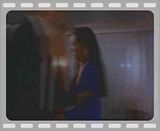 SampleRedScorpion2.mp4 video by paramom