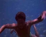 The Silent One video SamplesTheSilentOne.mp4