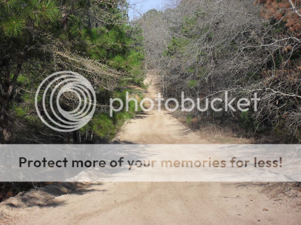 River Run ATV Park Jacksonville, TX Honda Foreman Forums