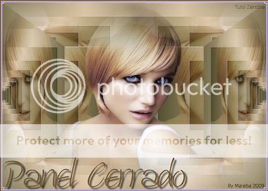 PANELCERRADO.jpg PANEL CERRADO picture by Mareba_2009