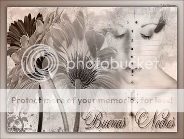 BUENASNOCHES.jpg BUENAS NOCHES picture by Mareba_2009