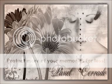 PANELCERRADO.jpg PANEL CERRADO picture by Mareba_2009