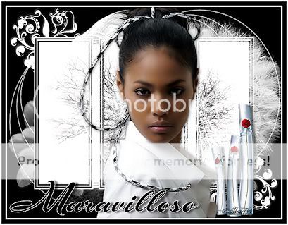 MARAVILLOSO.jpg MARAVILLOSO picture by Mareba_2009