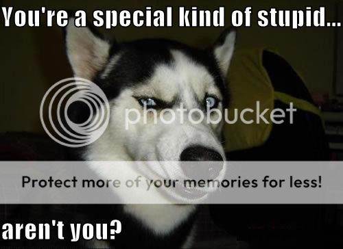 Stupid-1.jpg