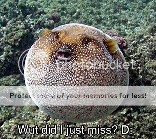 puffer-fish.png