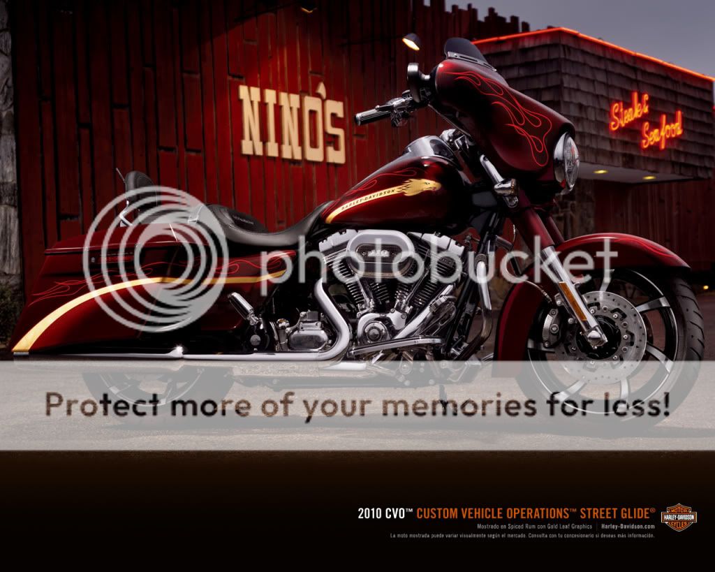 fotos fotos