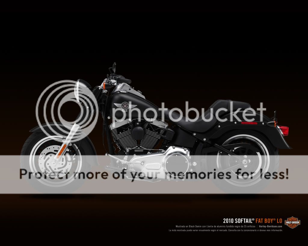 2010 2010