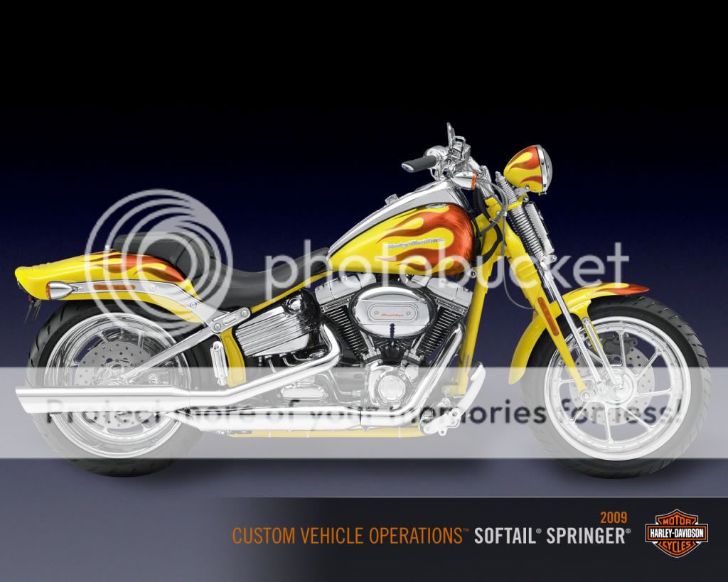 Harley Harley