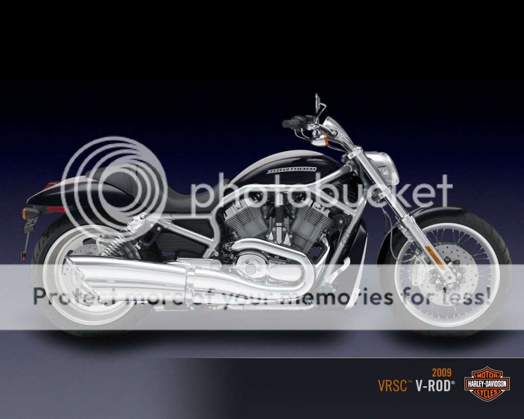 motos motos