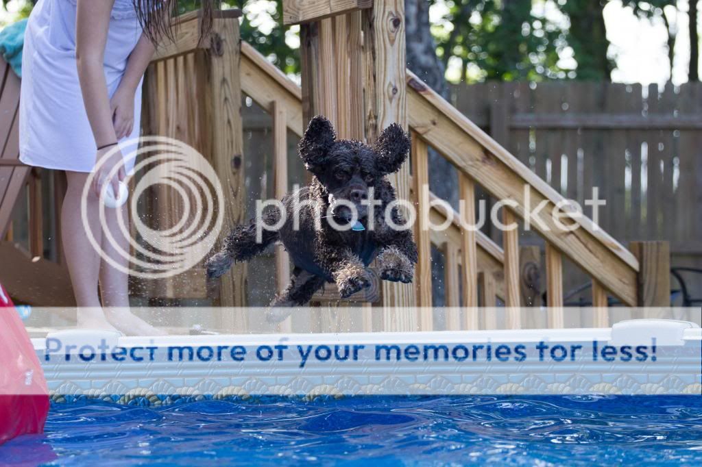 IMAGE: http://i683.photobucket.com/albums/vv199/07white450r/IMG_0417_zpsefea0639.jpg