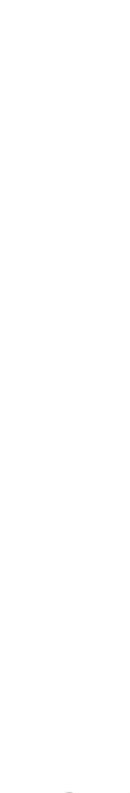 Skulloon