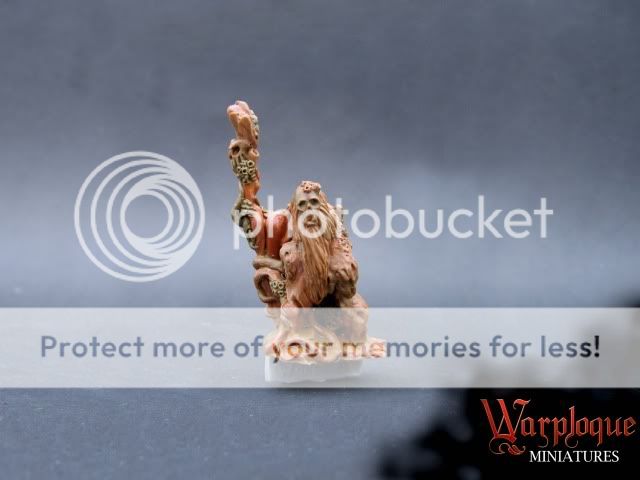 Click to see full-sized image Image