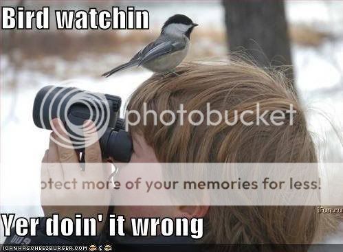 Doinitwrong.jpg