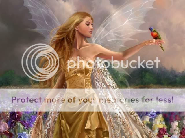 bird.jpg