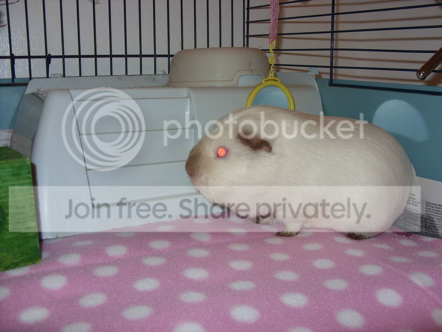 Pinkfleece125.jpg