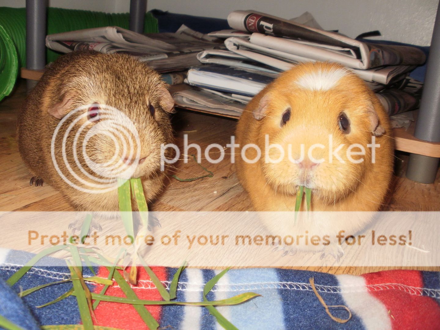 Thehappycouple007.jpg