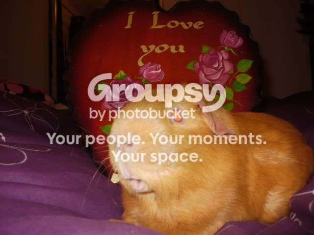 ValentineMimsi008.jpg