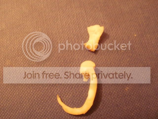 whatisthis005.jpg