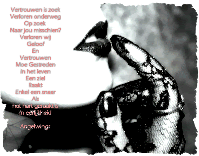  photo vertrouwen.gif